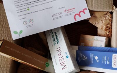 Mes de la Educación: Eco House reconoció a 60 docentes de todo el país junto a Meraki y Andreani